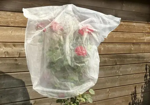 Nur Heute FLORAWORLD Rosenhaubenvlies 5er Set 0,8x0,75 m 17g