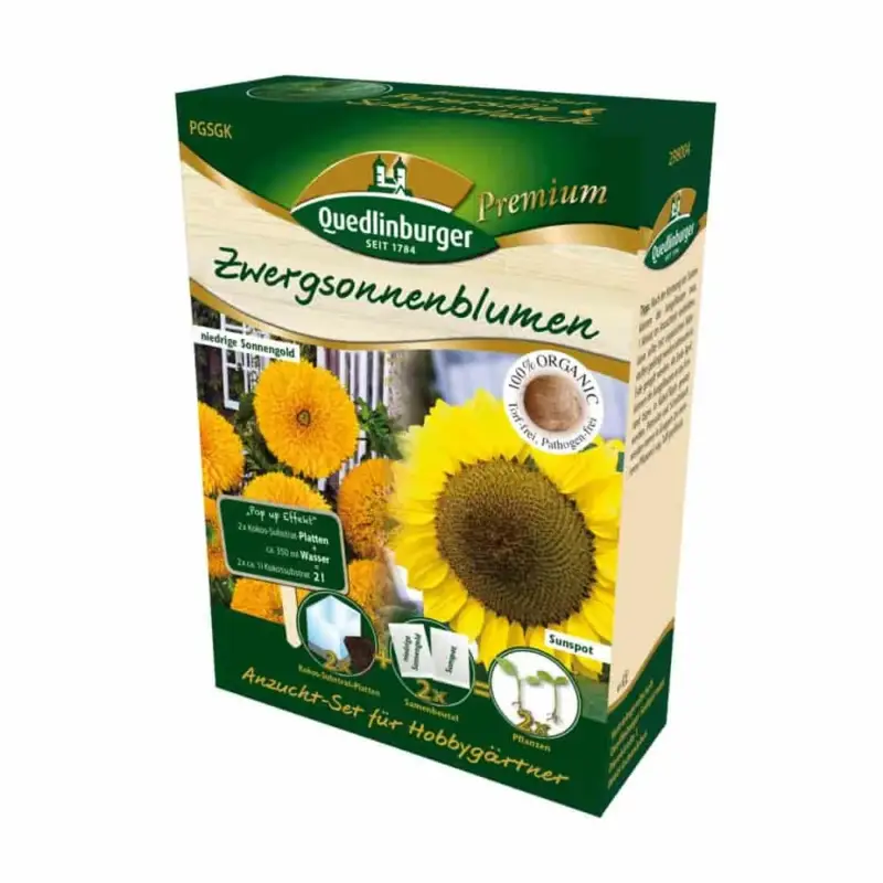 Jetzt Kaufen Anzucht-Set Zwergsonnenblumen, Sonnenblumen Samen