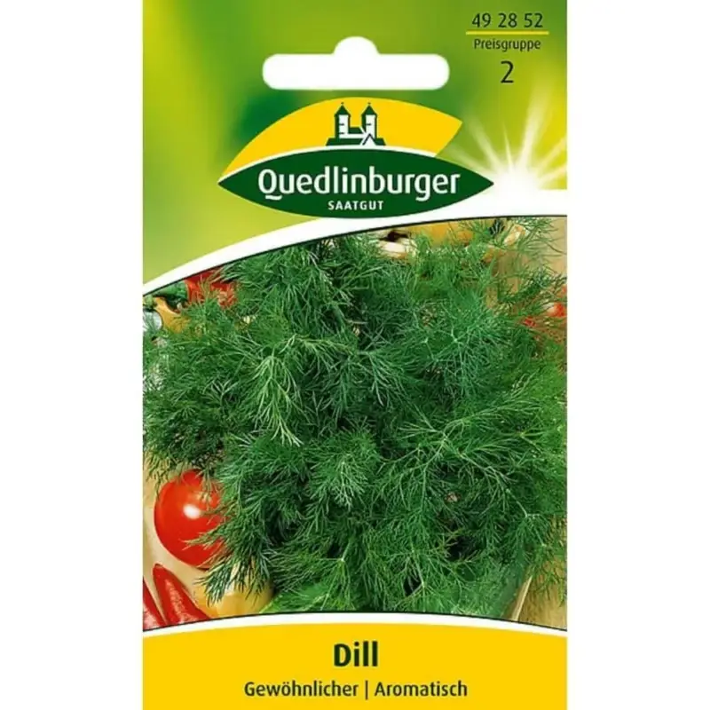 Dill, Gewöhnlicher Aktuell