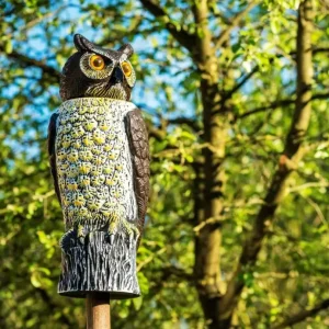 Garteneule Vogelschreck Super-Preis