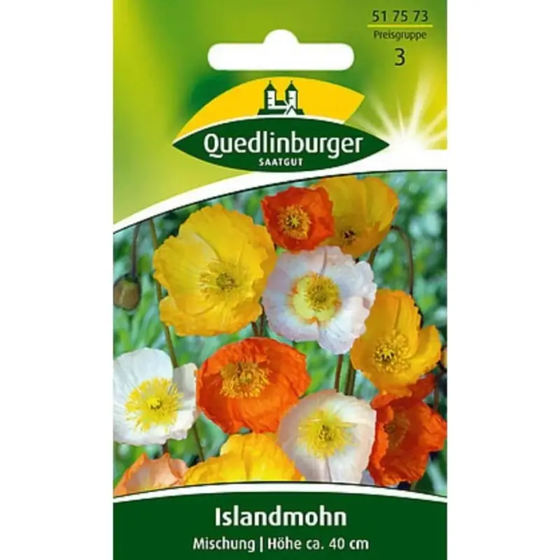 Islandmohn Mischung, Mohnblumen, Blumensamen Top-Preis