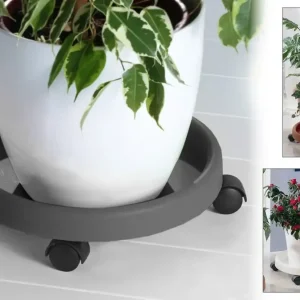 Pflanzenroller, terracotta Markenprodukt