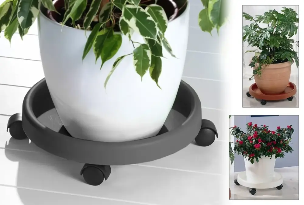 Pflanzenroller, terracotta Markenprodukt