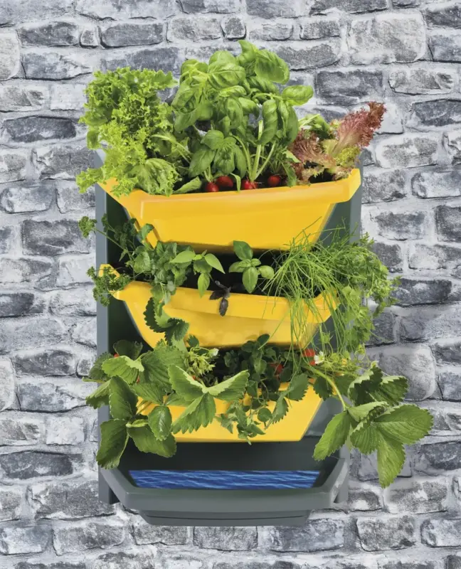 Echt Pflanzsystem Grundelement "Vertical Garden", Farbe safran
