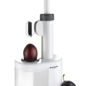 Mega-Angebot Pflaumenentsteiner "Prunus"