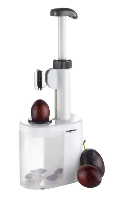 Mega-Angebot Pflaumenentsteiner "Prunus"