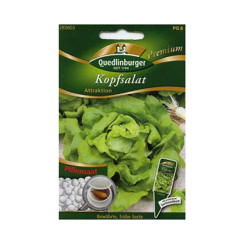 Pille Kopfsalat, Attraktion Beliebt