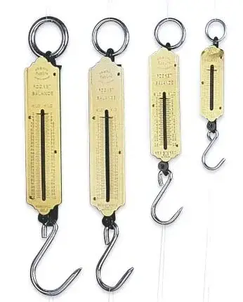 Garantierte Lieferung Taschen Federwaage, 100 kg