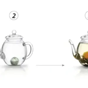 Teeblumen-Geschenkset "ErblühTee" mit Glaskanne, 6 verschiedene Sorten Schnäppchen