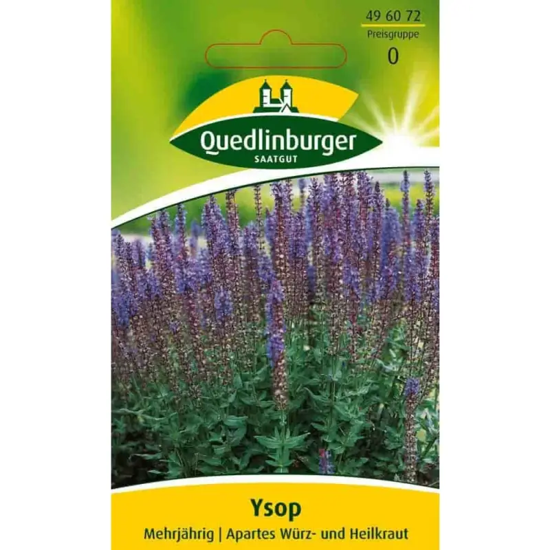 Ysop Jetzt Bestellen