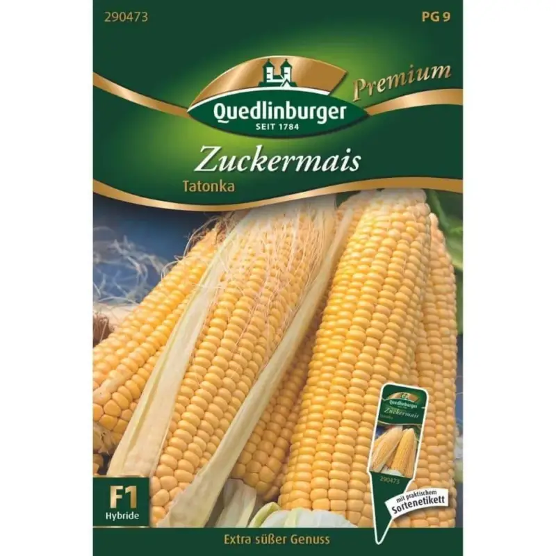 Zuckermais, Maiskolben, Mais Saatgut für Anbau & Ernte Nur Für Kurze Zeit