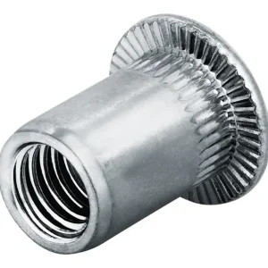 Goebel Blindnietmutter Alu Flachrundkopf M8 Klemmbereich: 0,5 - 3 mm(Verpackungseinheit: 250Stück) Aktuell