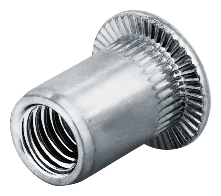Jetzt Bestellen Goebel Blindnietmutter Edelstahl Flachrundkopf M4 Klemmbereich: 0,5 - 3 mm(Verpackungseinheit: 250Stück)