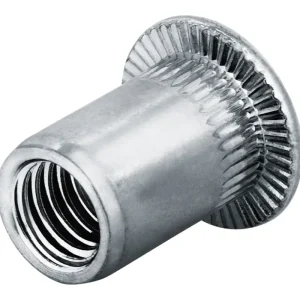 Preisknaller Goebel Blindnietmutter Edelstahl Flachrundkopf M6 Klemmbereich: 3 - 5,5 mm(Verpackungseinheit: 250Stück)