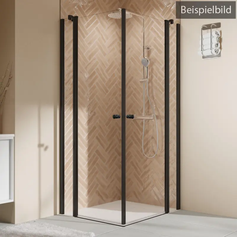 Angebot Breuer Elana 2.0 rund Black Edition Eckeinstieg Drehtür mit Festteil 4-teilig Bronce getönt 120 x 120 cm - Schwarz matt