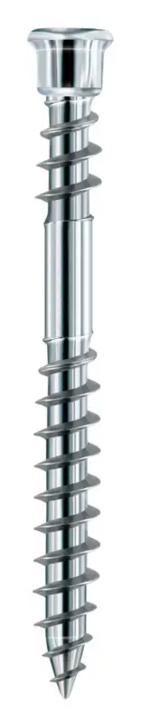 Eurotec Terrassotec Edelstahl gehärtet 5,5 x 50 mm TX 25(Verpackungseinheit: 200Stück) Sonderaktion